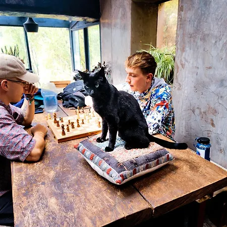 Wolf Totem Steam Punk Backpacker Industrial Studio For Intrepid Travellers