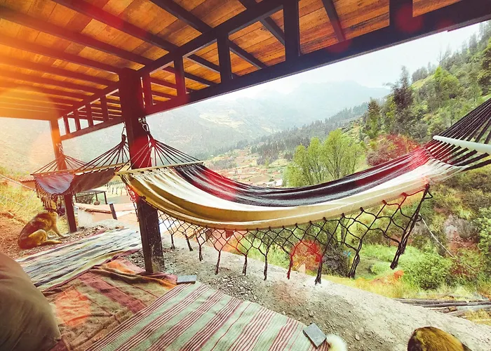 Maison d'hôtes Wolf Totem Lux Backpacker Industrial 3*
